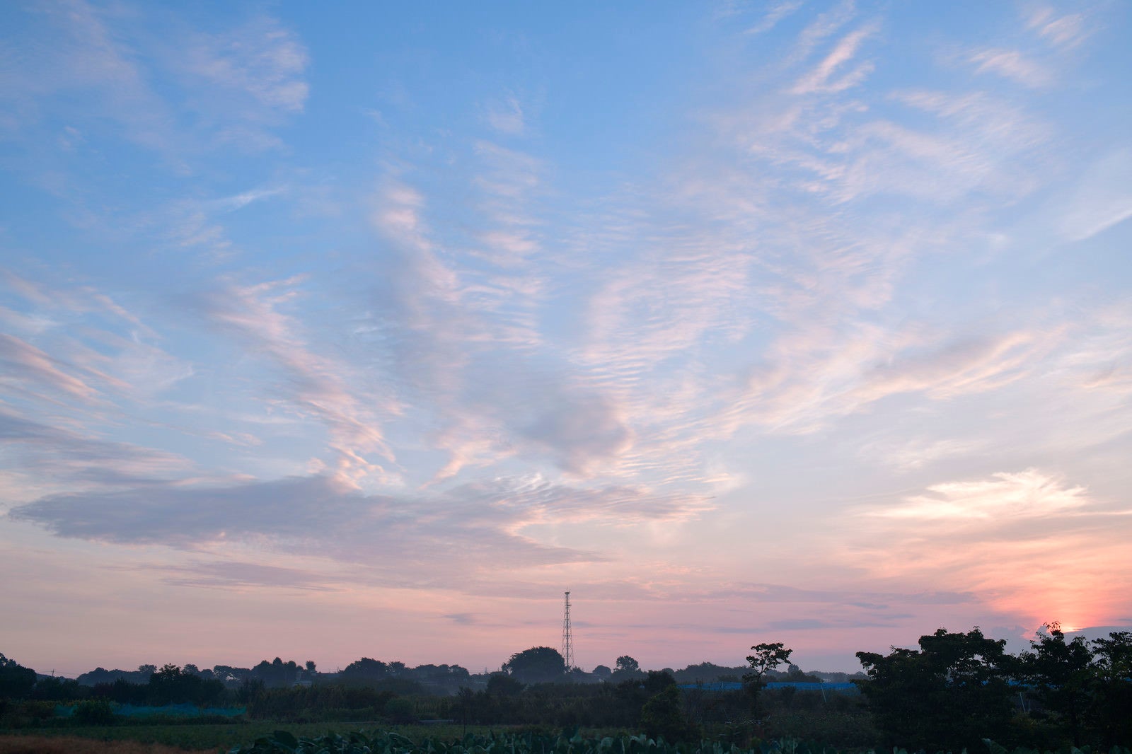 「パステルカラーでさわやかな雰囲気の朝の空」の写真