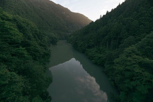 早朝の多摩川上流の静かな水面の写真