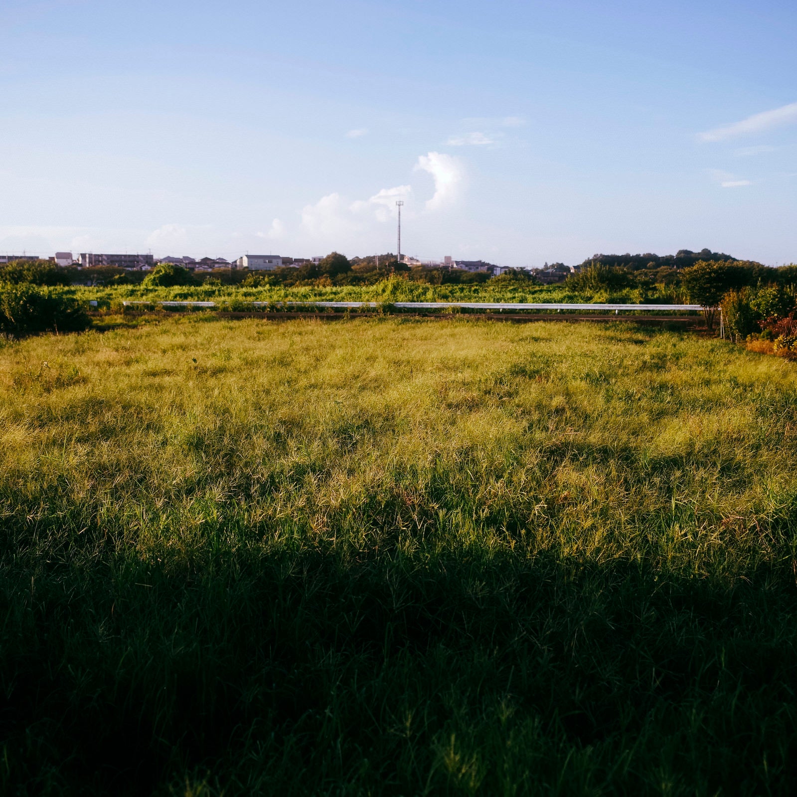 「朝日に照らされる牧草地と鉄塔」の写真
