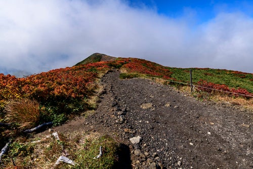 流れる雲の下に顔を見せる真っ赤な紅葉の栗駒山の写真