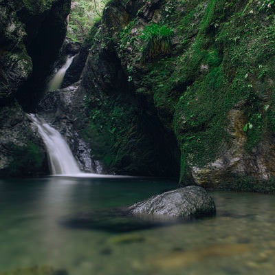 海沢渓谷ネジレの滝の景色の写真