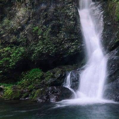 滝つぼへと水が降り注ぐ海沢渓谷の大滝の写真