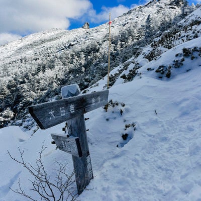 凍る金峰山登山道の道しるべの写真