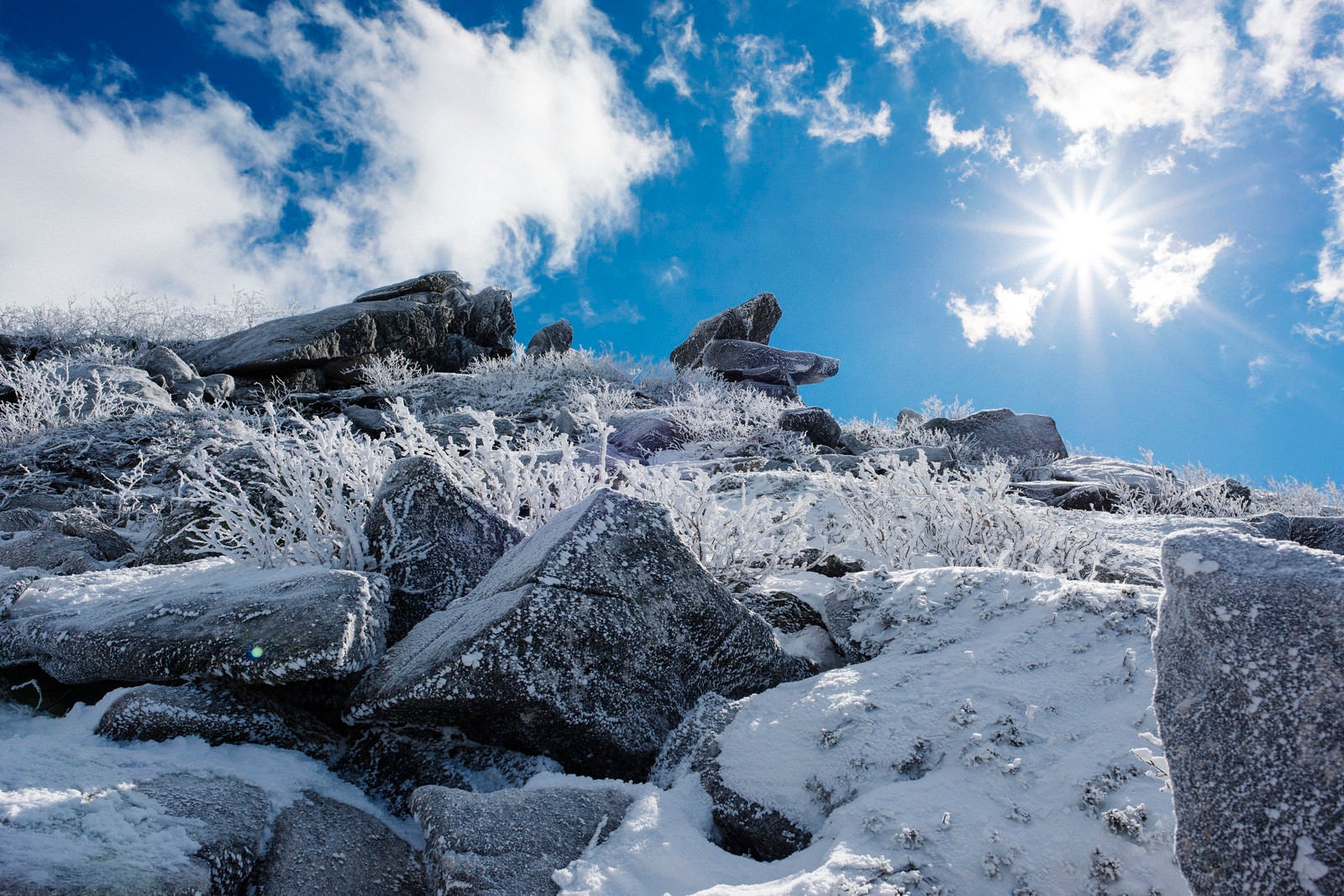 「雪に覆われた金峰山の稜線」の写真