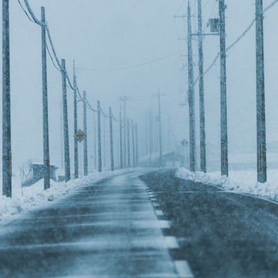雪国の降雪とどこまでも続く電柱の写真