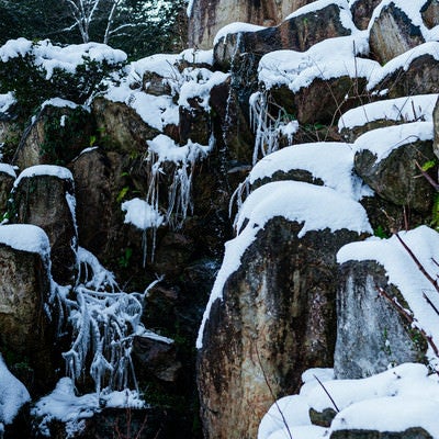 岩場の積雪と流れ落ちる水飛沫の写真