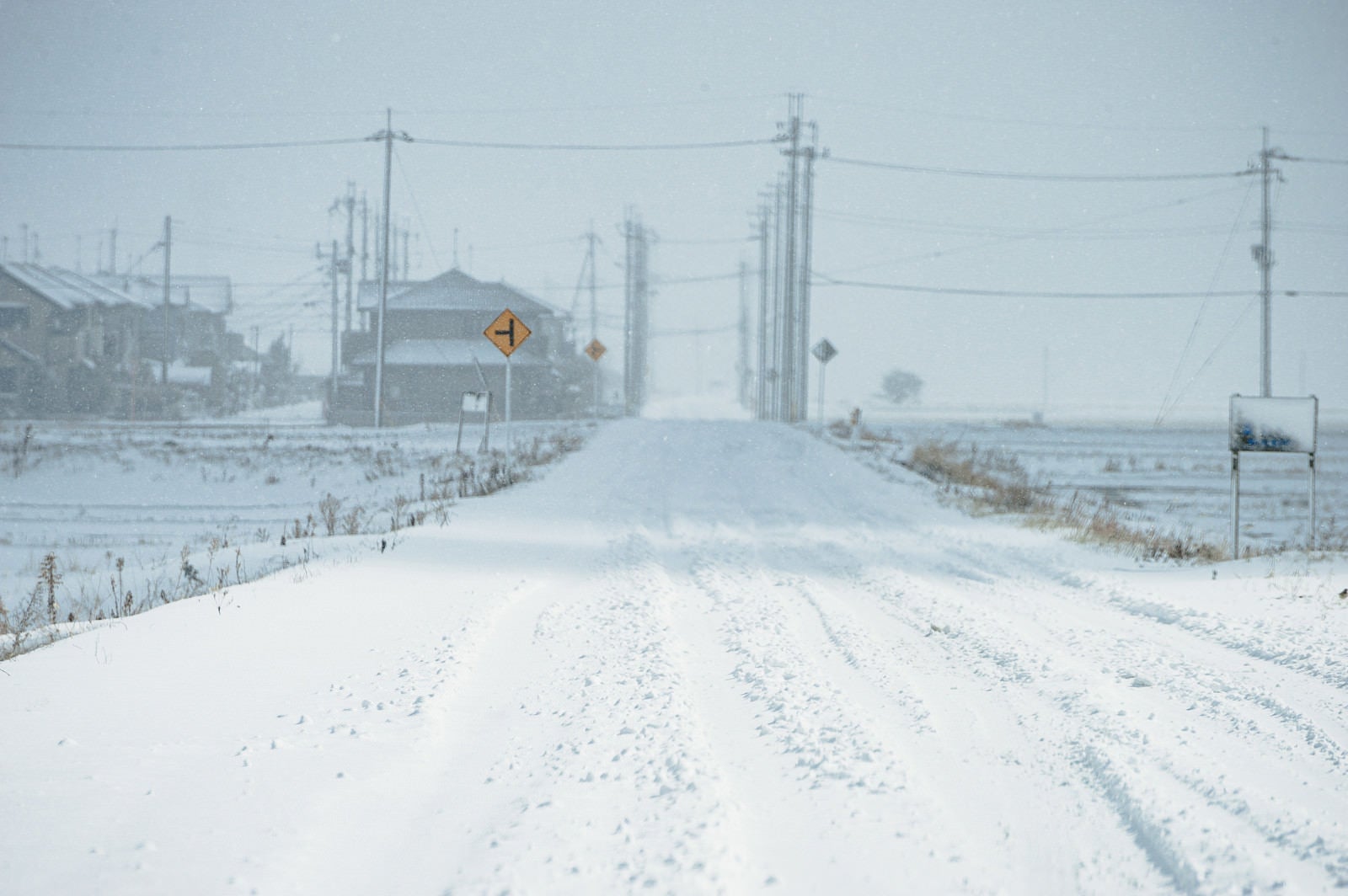 「轍も埋まるほどの降雪した道路」の写真