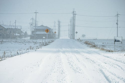 轍も埋まるほどの降雪した道路の写真