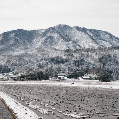 冬の水田と雪化粧した風景の写真