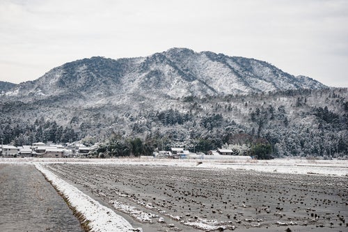 冬の水田と雪化粧した風景の写真