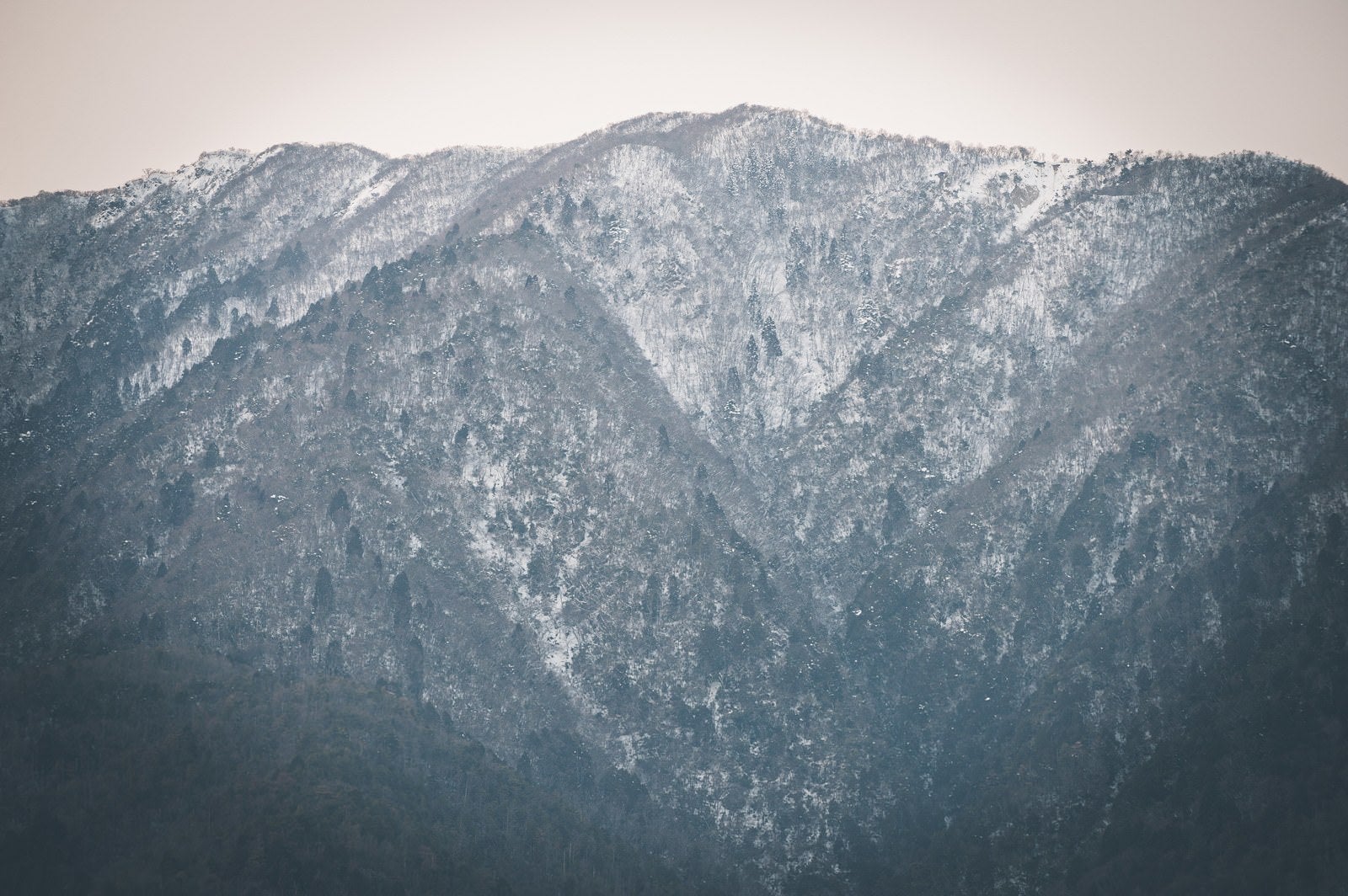 「雪化粧した山の木々」の写真