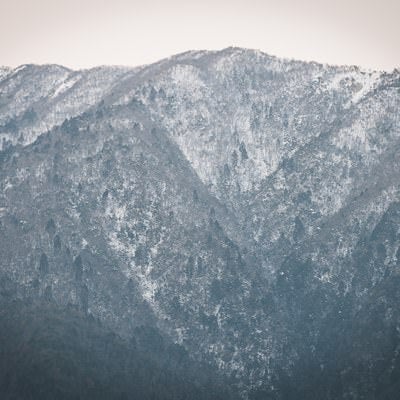 雪化粧した山の木々の写真