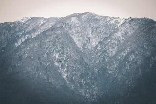 雪化粧した山の木々の写真