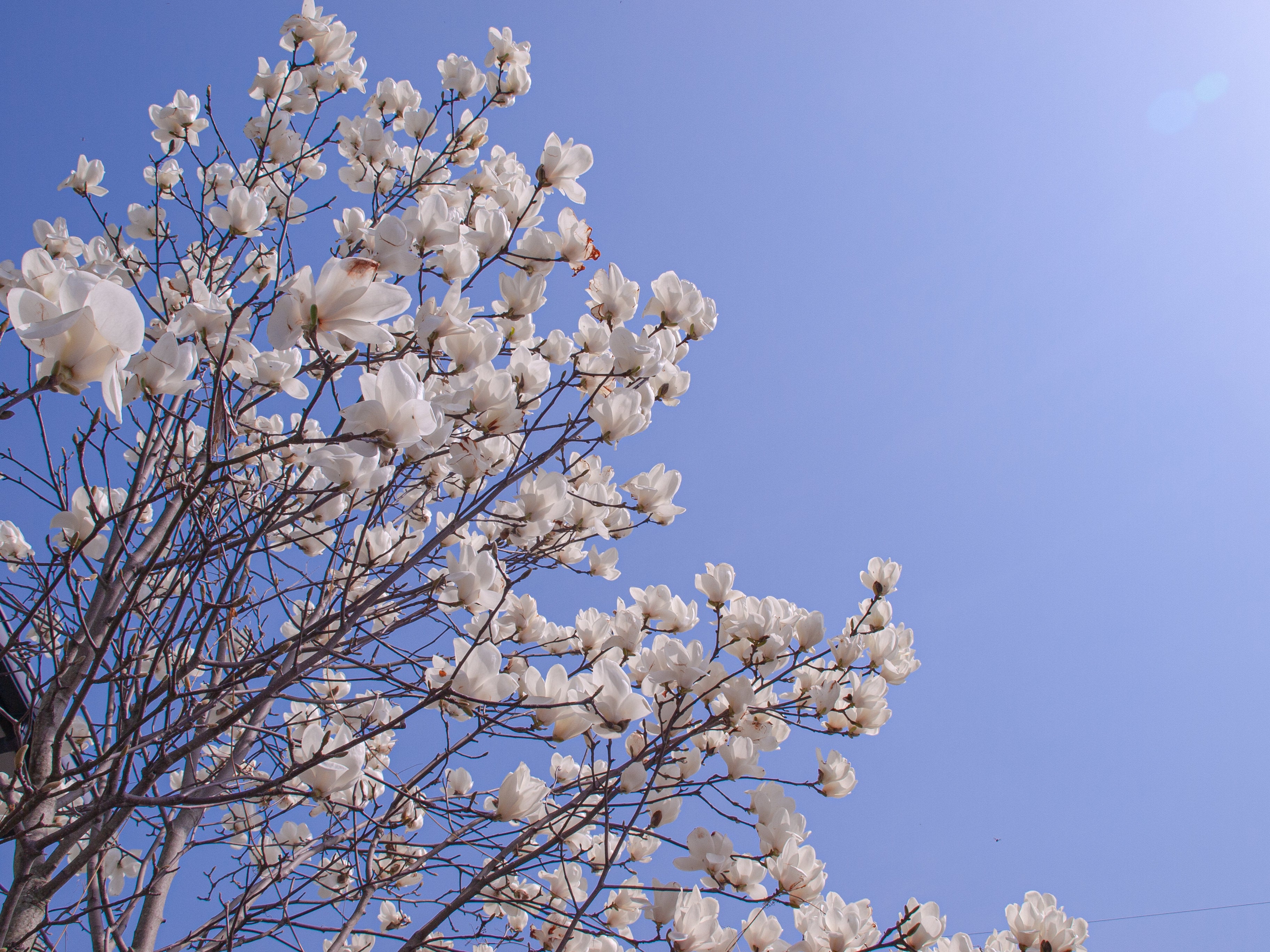 rinmon629-9592.jpg?&download=1