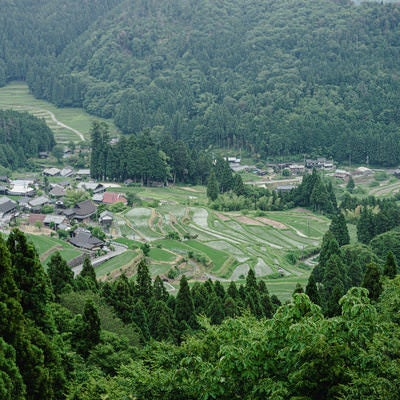 畑の棚田の写真