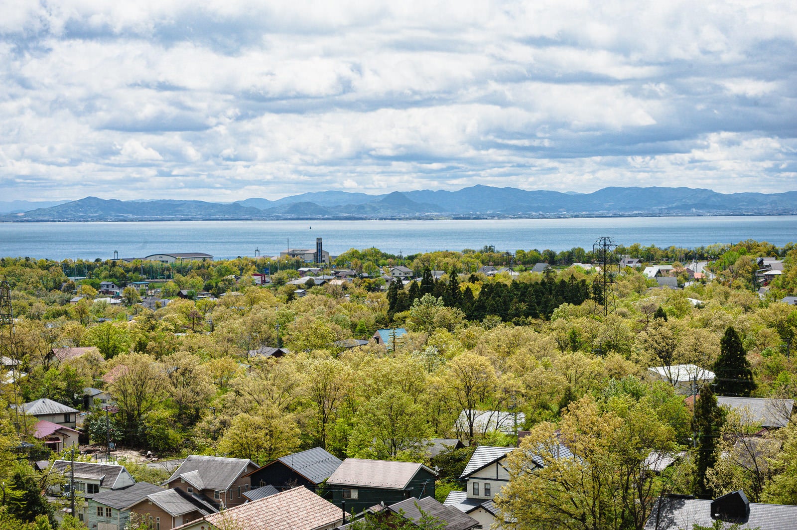 「湖西道路から見下ろす緑と琵琶湖」の写真