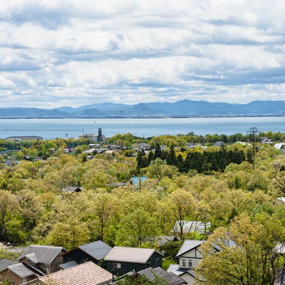 湖西道路から見下ろす緑と琵琶湖の写真