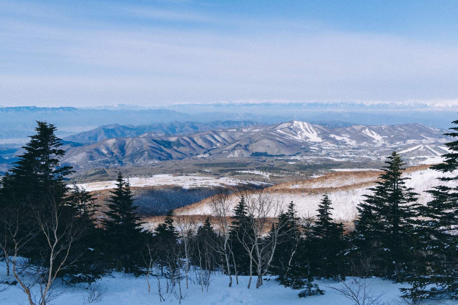 「冬の菅平牧場遠景」の写真