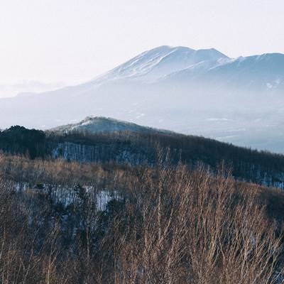 四阿山中腹から見る冬の浅間山の写真