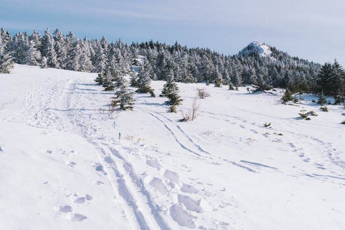 雪が積もった四阿山山頂稜線の写真