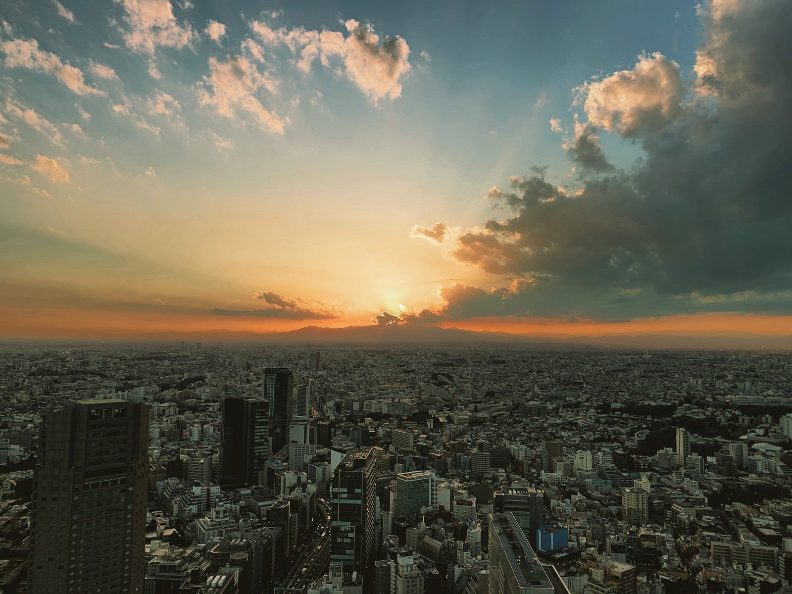 「SHIBUYA SKYからの夕暮れ眺め」の写真