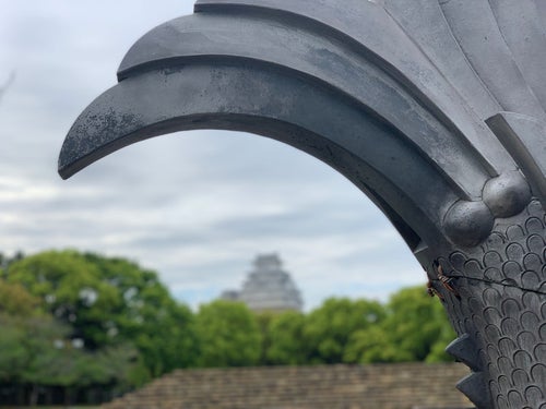 鯱先と姫路城の写真