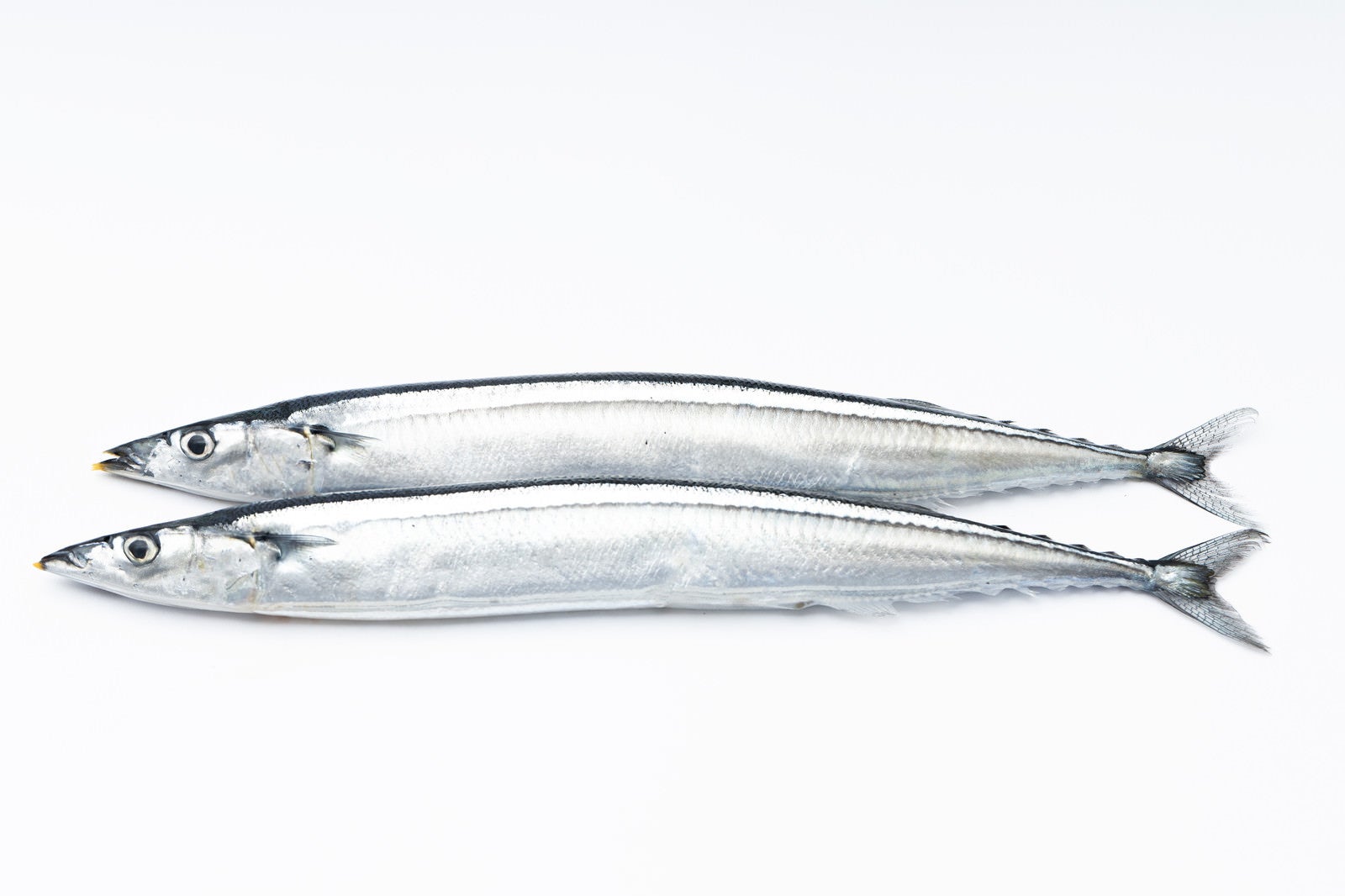 「秋刀魚（さんま）二匹」の写真