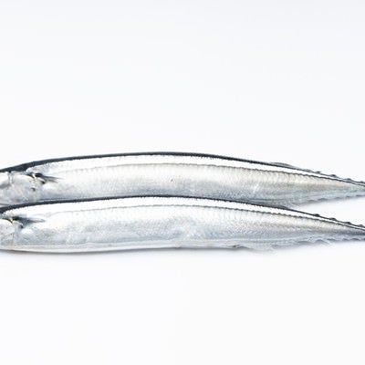 秋刀魚（さんま）二匹の写真