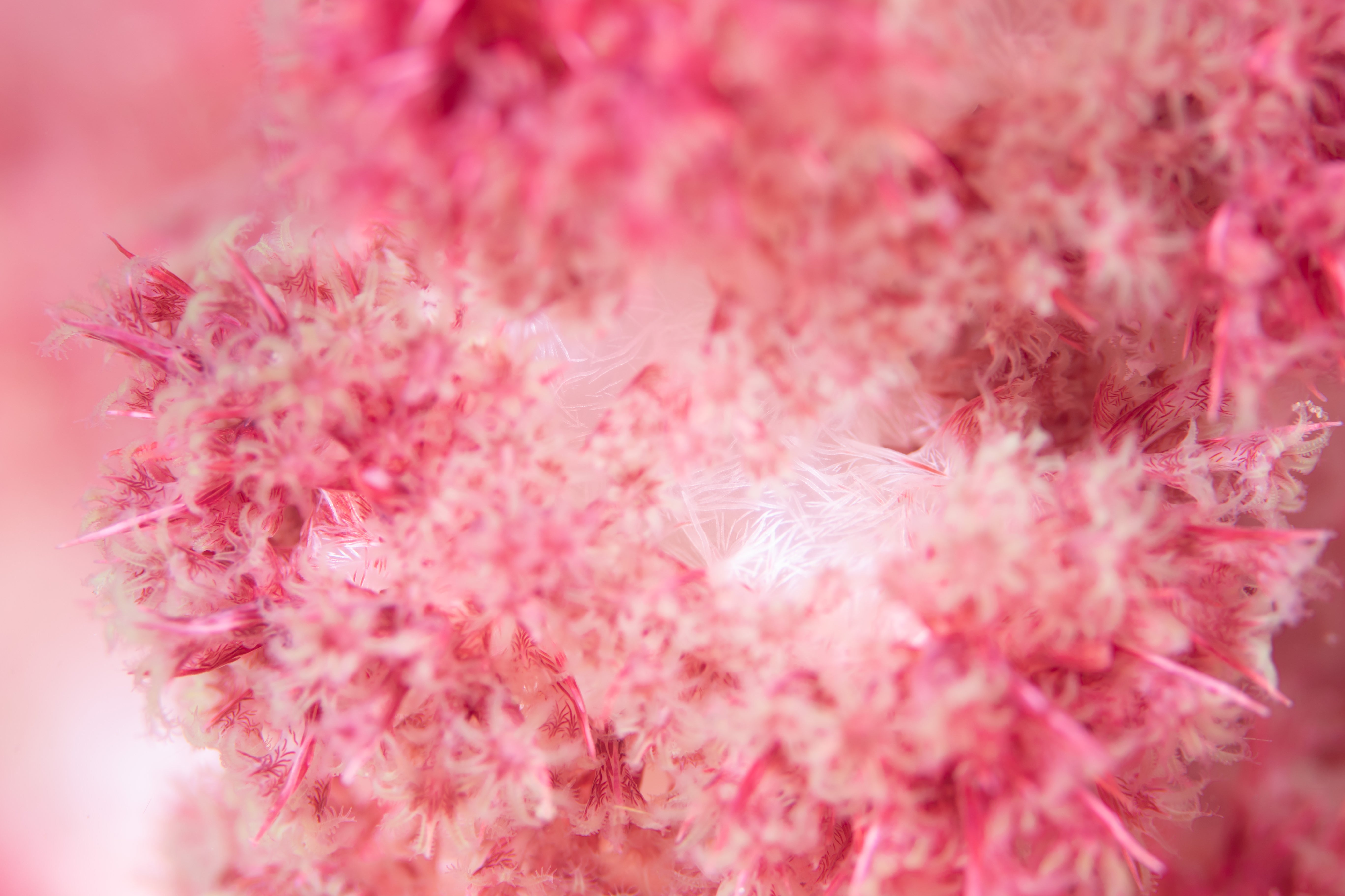 sayaka19311008.jpg?&download=1