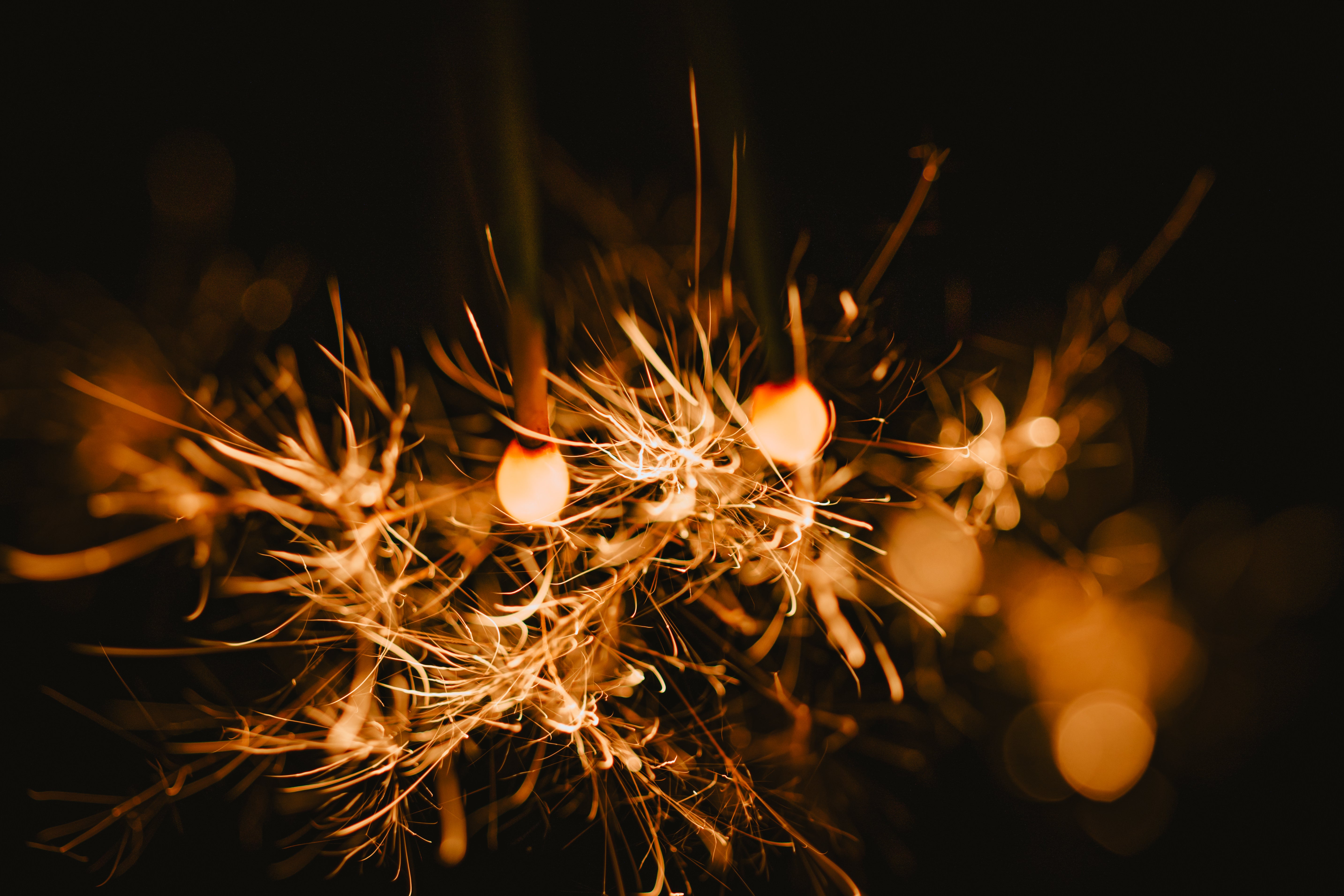 senko010A3317.jpg?&download=1