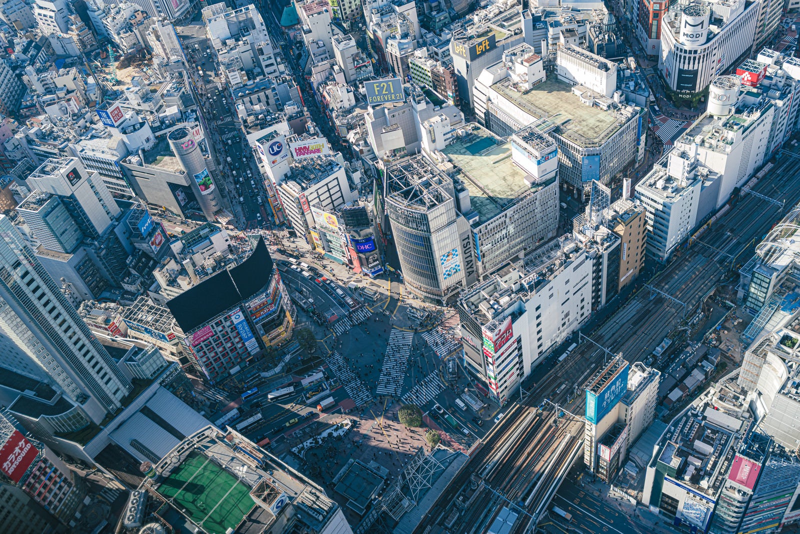 「渋谷スカイから見下ろすスクランブル交差点の様子」の写真