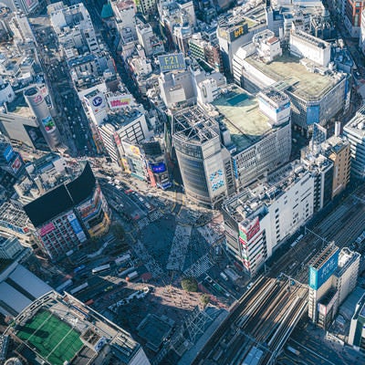 渋谷スカイから見下ろすスクランブル交差点の様子の写真