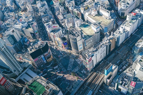 渋谷スカイから見下ろすスクランブル交差点の様子の写真
