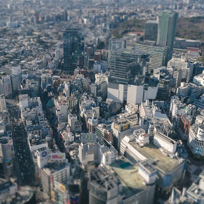 渋谷の都市景観（チルトシフト）の写真