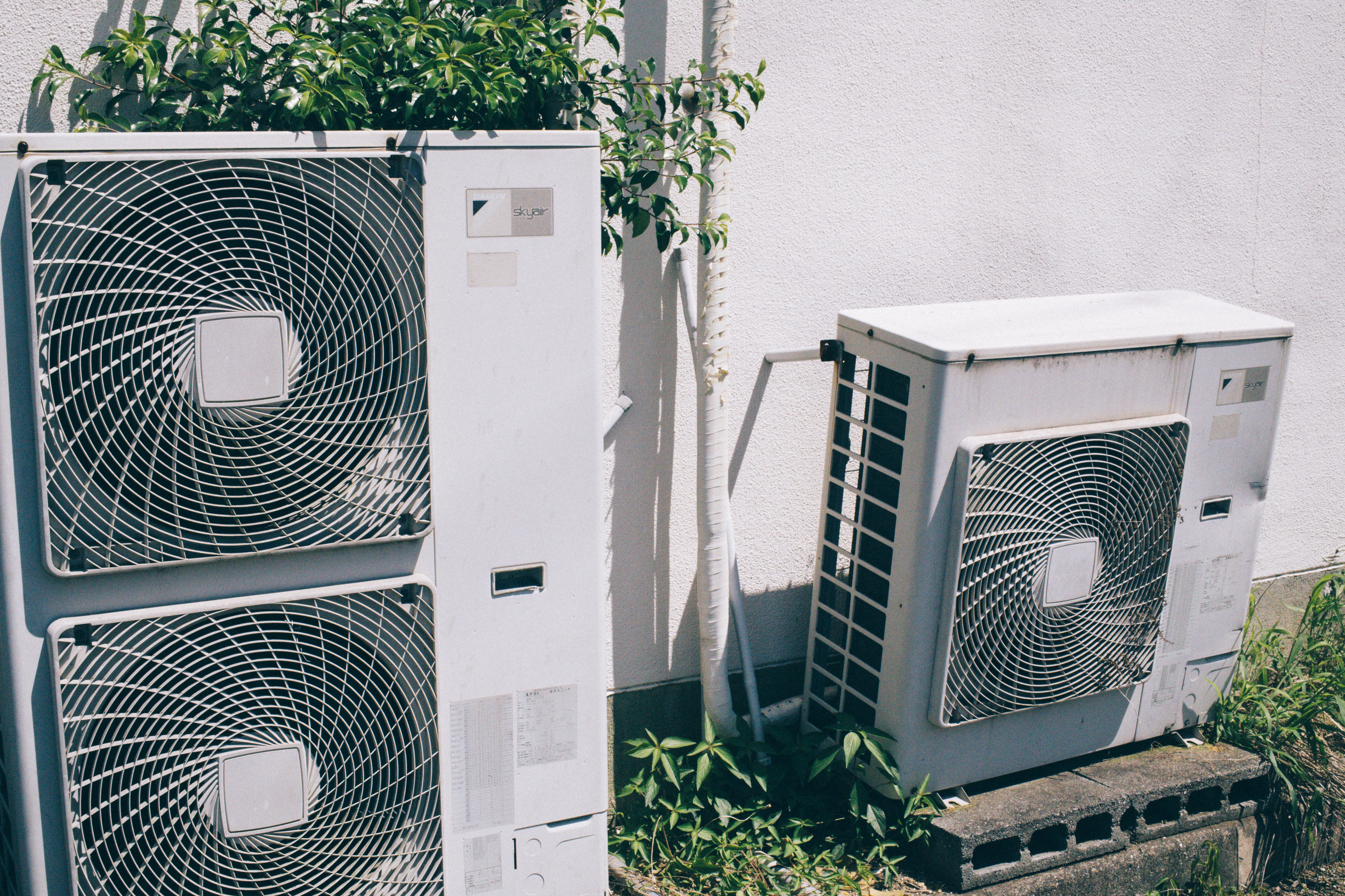 shikamaIMG_6145.jpg?&download=1