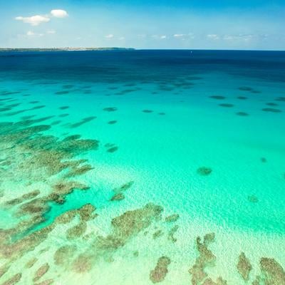 サンゴ礁の海原の写真