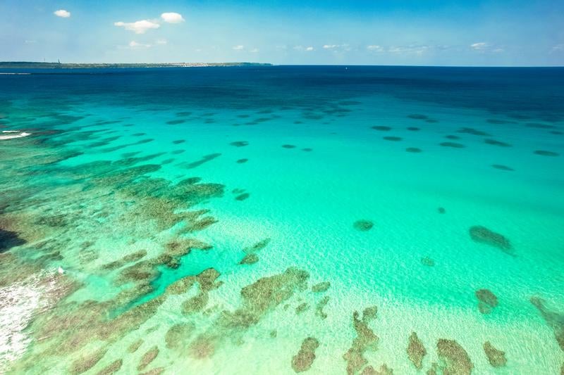 サンゴ礁の海原の写真