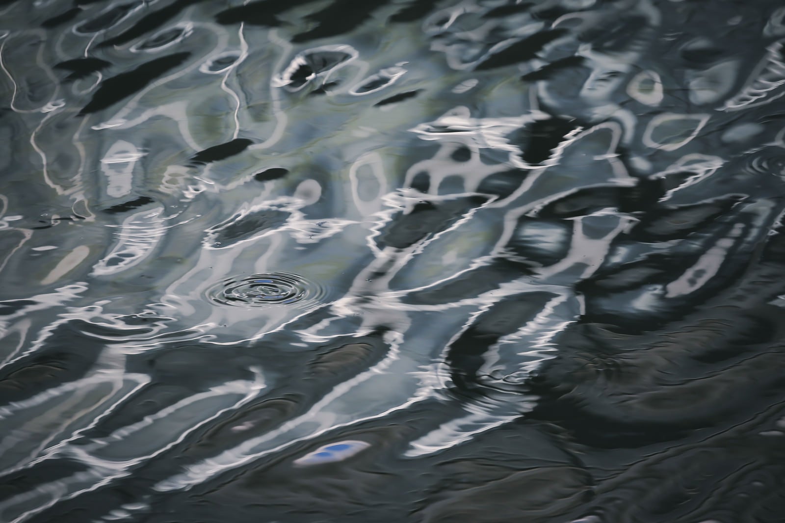「池の水面の波紋」の写真