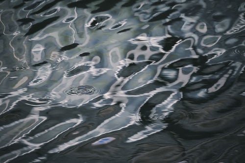 池の水面の波紋の写真