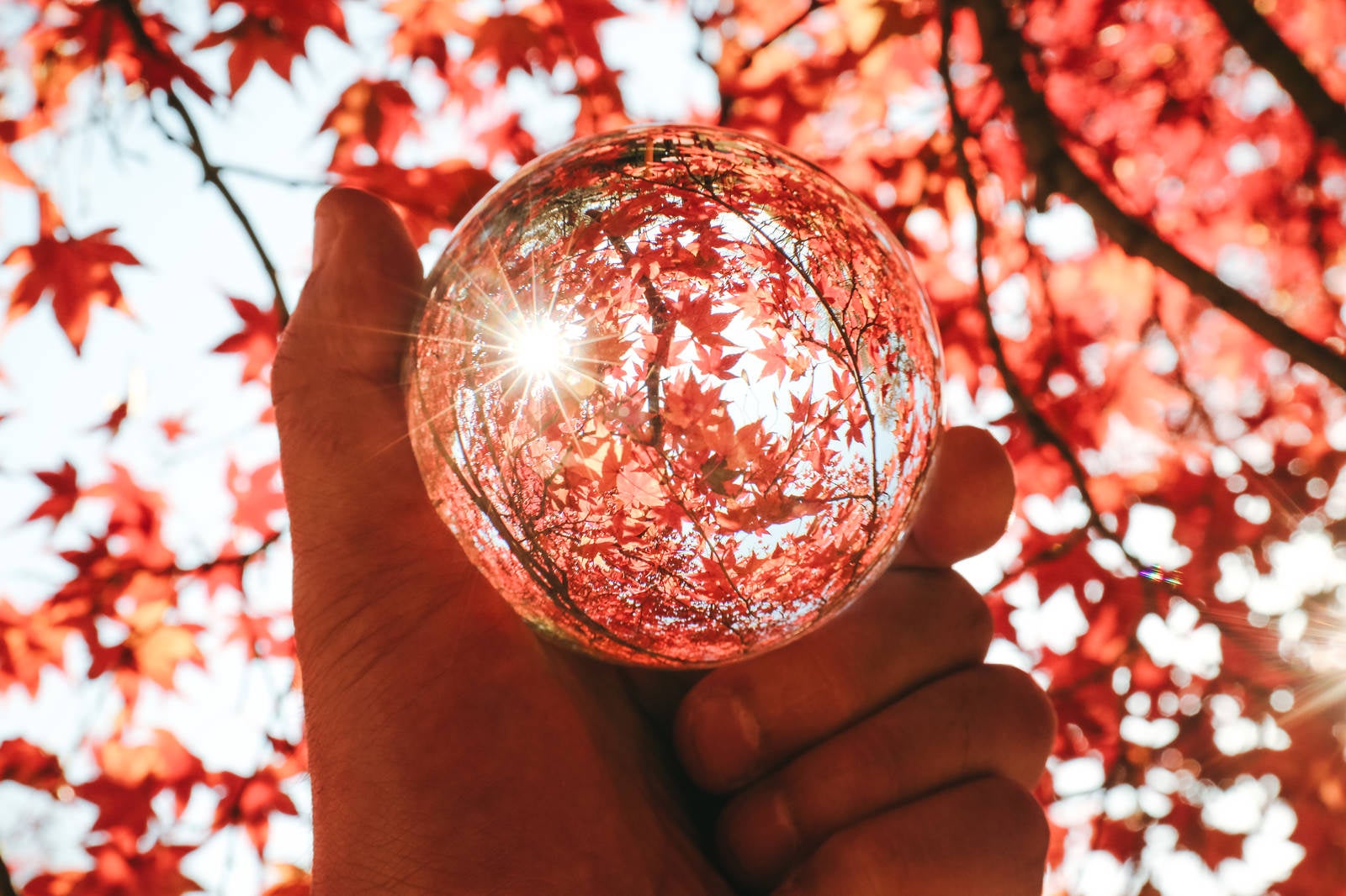 「水晶球から見る紅葉」の写真