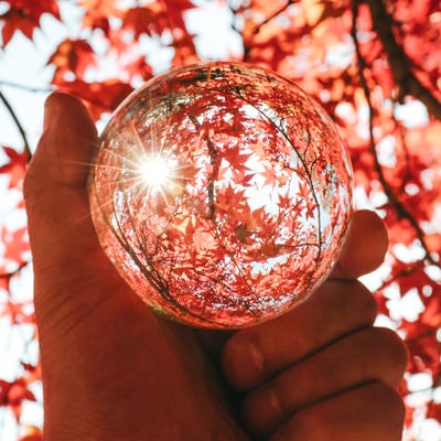 水晶球から見る紅葉の写真