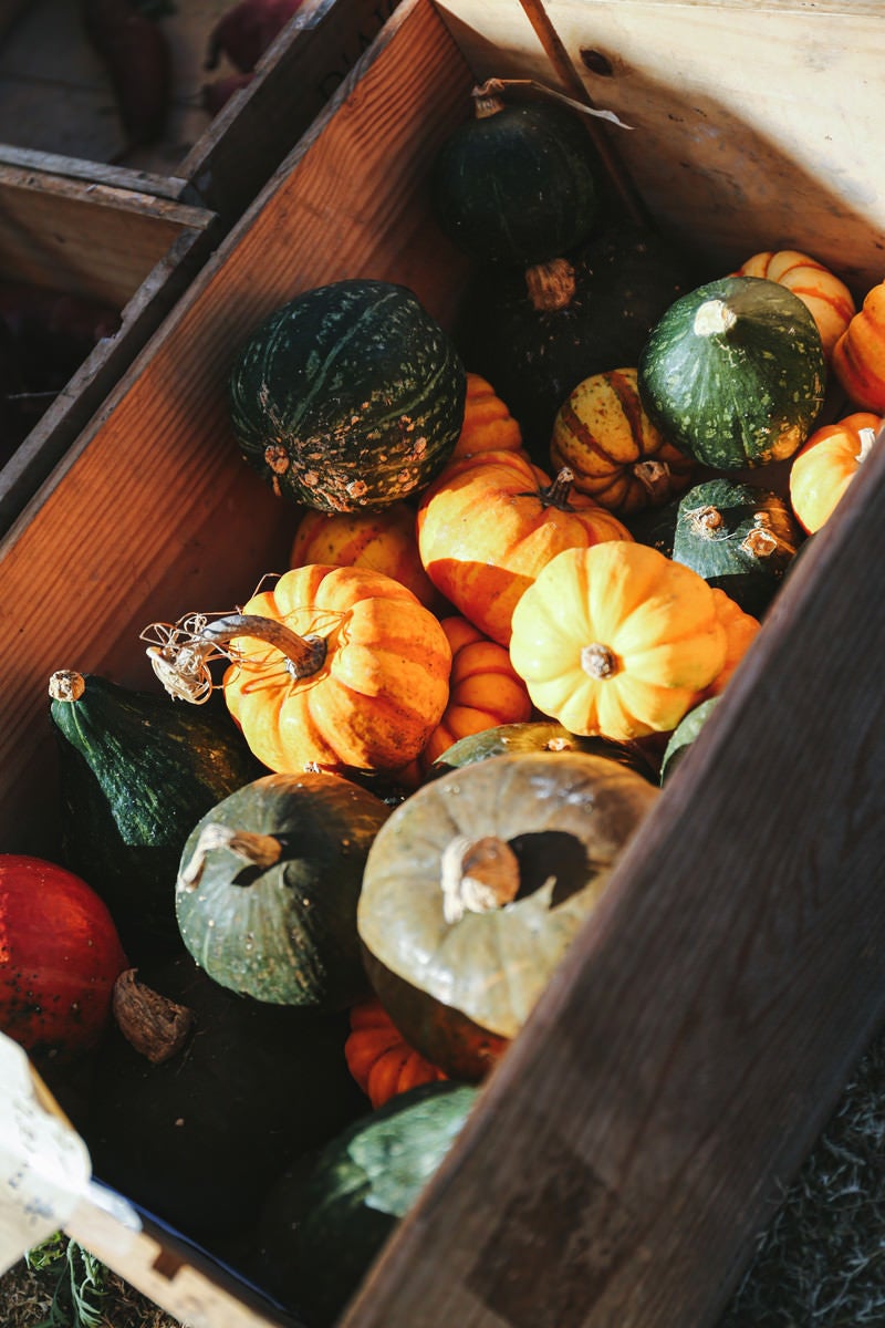 「木箱に入ったかぼちゃ」の写真