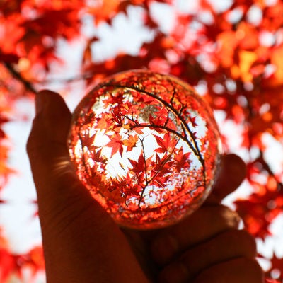 水晶玉から覗き込む紅葉の写真