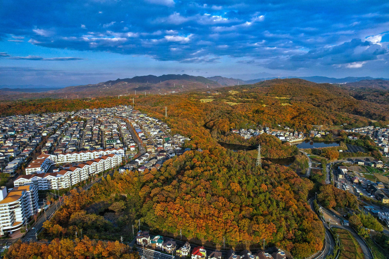 「紅葉して色付いた森と隣接する住宅地」の写真