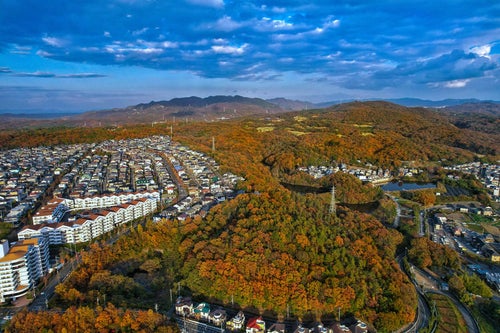 紅葉して色付いた森と隣接する住宅地の写真