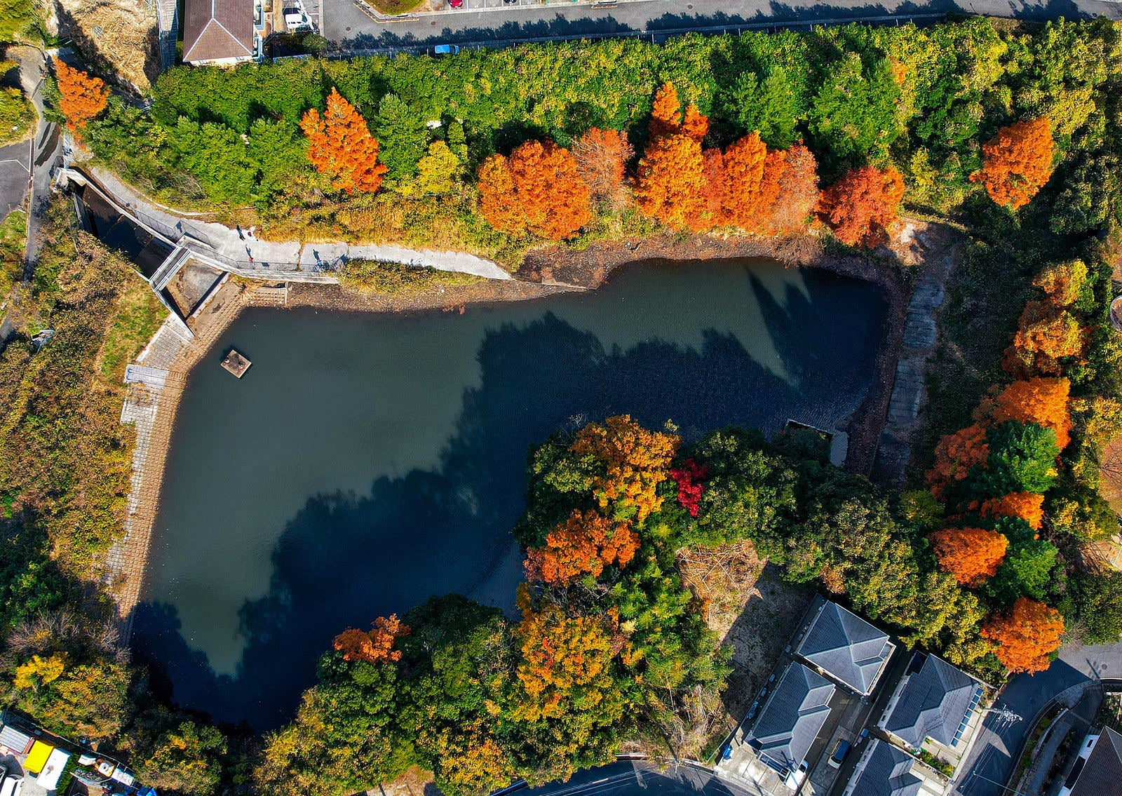 「池の周りを取り囲む紅葉した木々」の写真