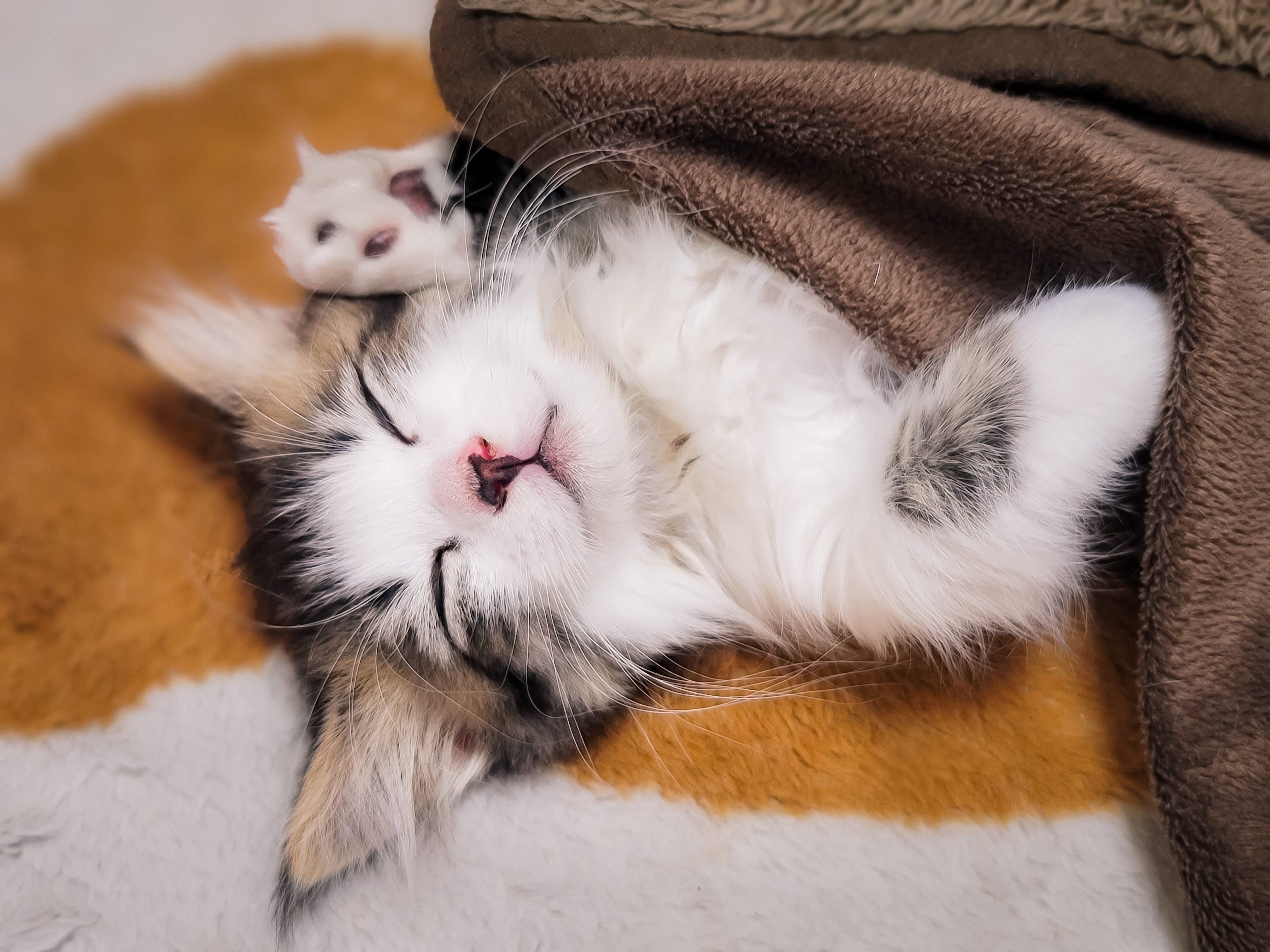 shikun20220402_125829.jpg?&