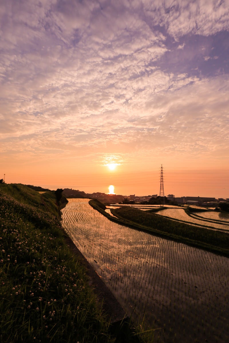 沈みゆく夕日と棚田の写真