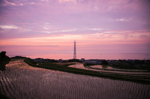 静寂に包まれる日没の棚田の写真