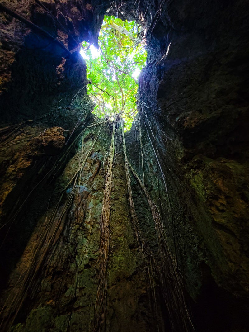 「地上から洞窟へ差し込む光」の写真